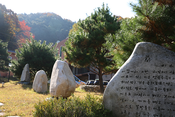 감성회복 사진