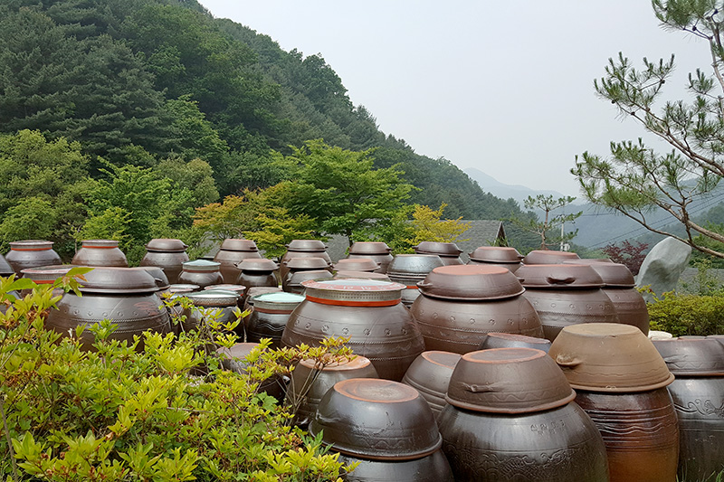 여름 전경