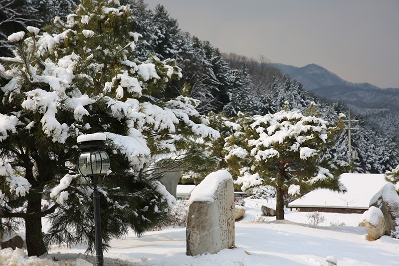 겨울 전경