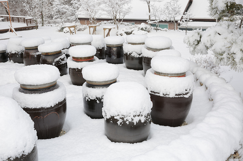 겨울 전경