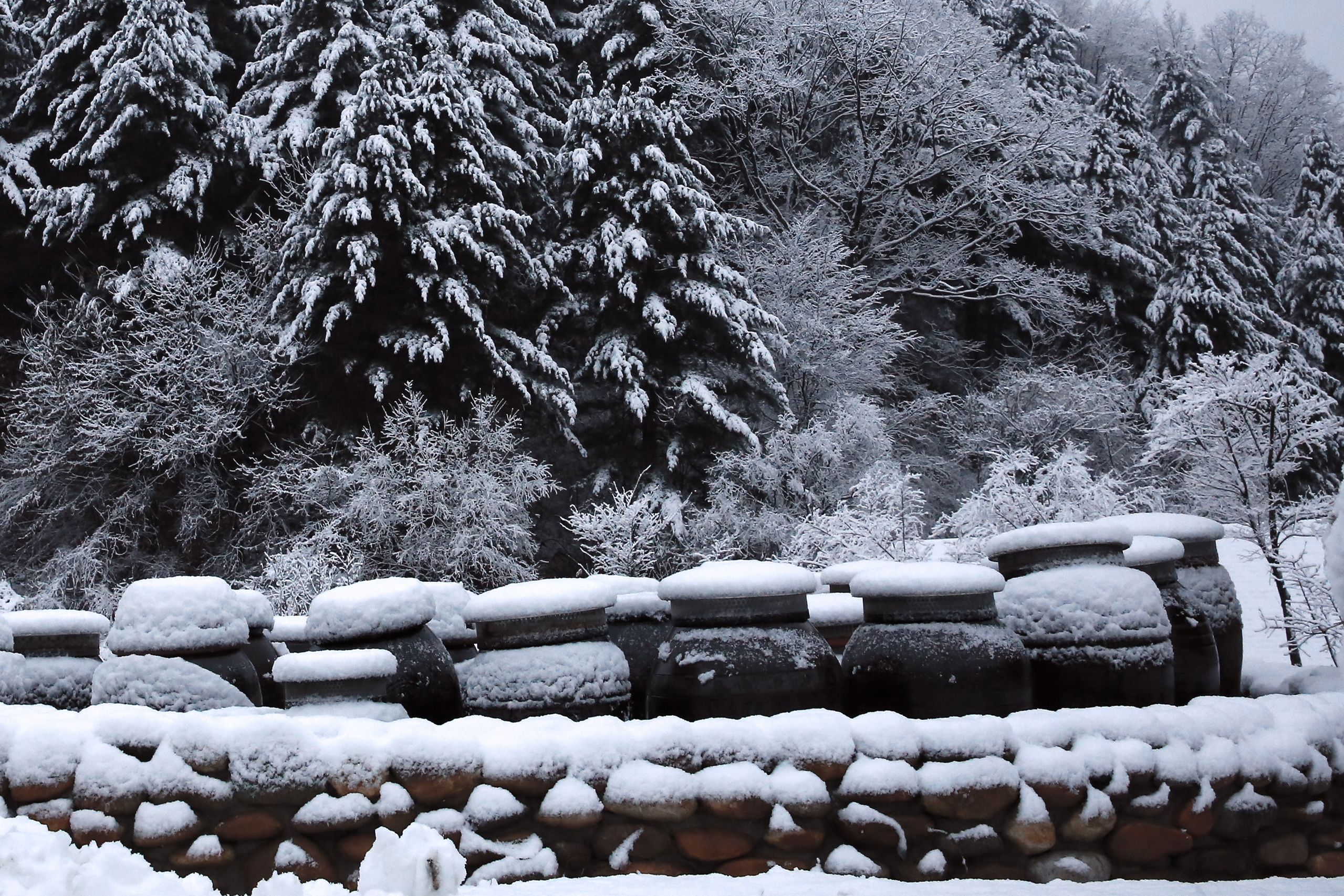 겨울 전경