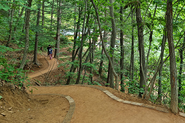 황톳길 맨발걷기 어싱(Earthing)